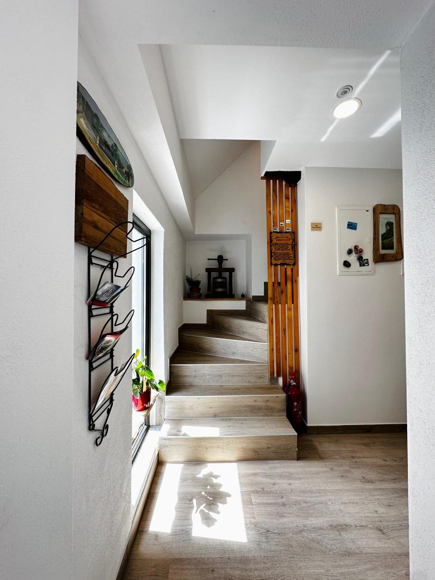 Slovenian House Vida